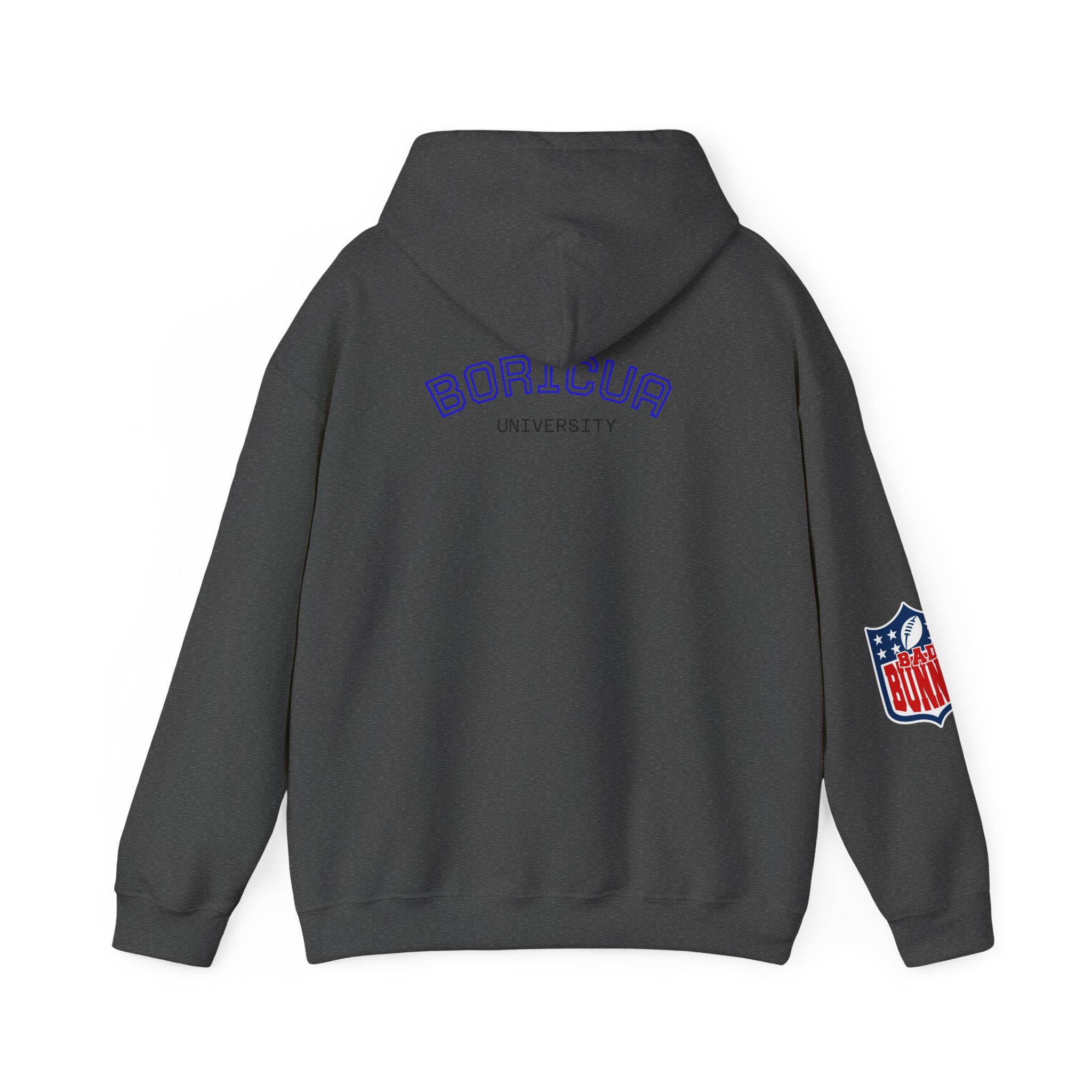 Boricua University Hoodie, Casual Sweatshirt, Unisex Sportswear, Cozy Streetwear, Perfect for Gifting