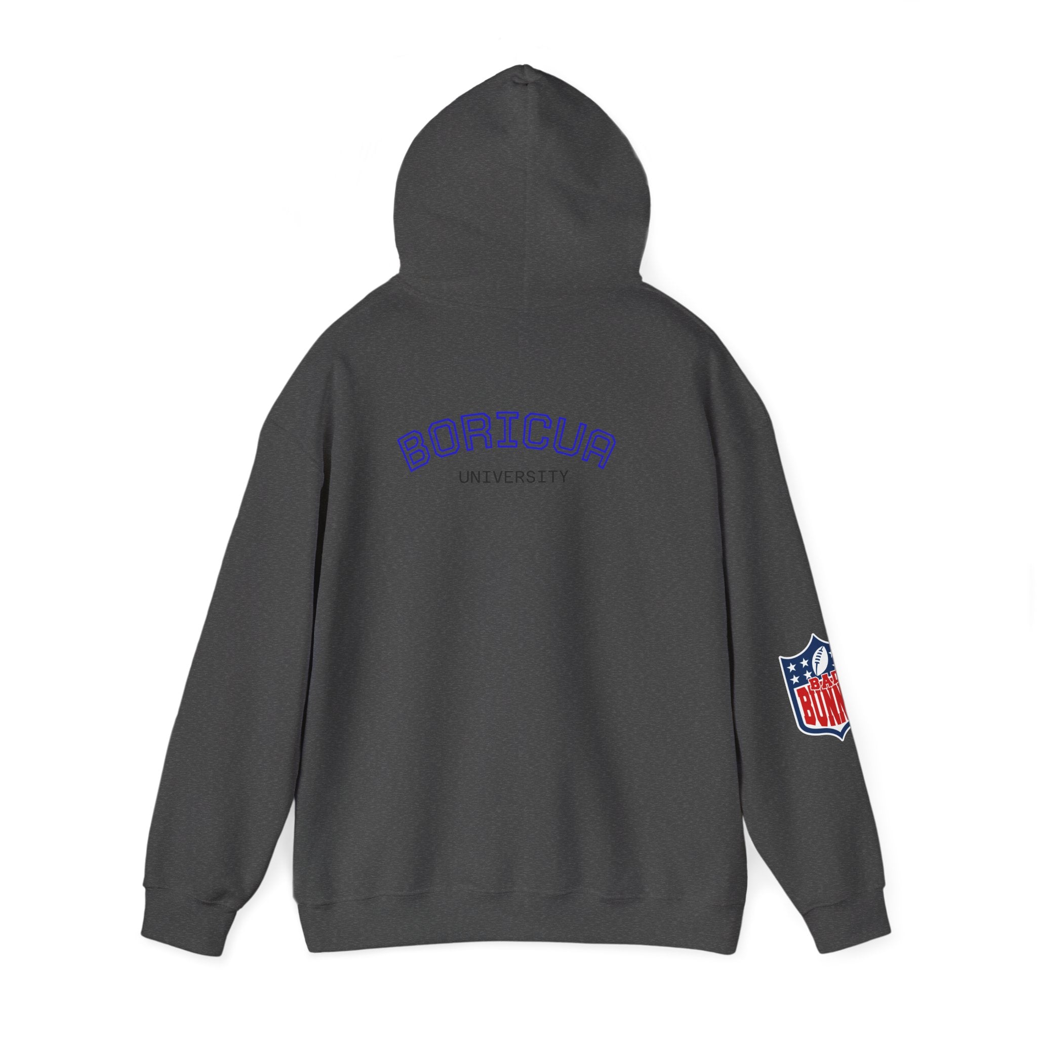 Boricua University Hoodie, Casual Sweatshirt, Unisex Sportswear, Cozy Streetwear, Perfect for Gifting